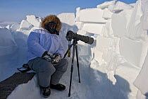 Photographer Sergey Gorshkov in winter coat with camera facing out of wall of ice used as hide, Wrangel Island, Far Eastern Russia.