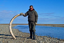 Man holding  Mammoth (Mammathus) tusk, on beach of Wrangel Island, Far Eastern Russia. August 2010.