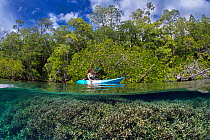 Kayaker exploring mangroves and coral reefs. Waigeo, Raja Ampat, West Papua, Indonesia. Model released.