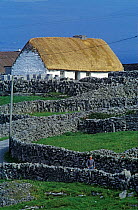 Irish landscape with stone walls and thatched cottage, Aran islands, off Western coast, Republic of Ireland.
