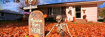 Halloween decorations including pumpkins (Cucurbita pepo) outside house, outskirts of Minneapolis, USA.