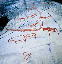6000-7000 years old stone-age rock carvings, Hjemmeluft UNESCO World Heritage site, Alta, Finnmark,  Norway.