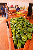 Vegetable market with Green bell peppers (Capsicum annuum) Havana, Cuba, January.