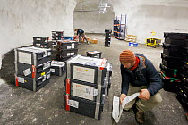 Ola Westengen, manager checking paperwork from seed samples arriving at the Svalbard Global Seed Bank, Svalbard, Norway, October 2012.