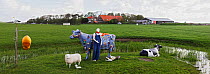 Model of cow, sheep, cow and farmer, Texel, The Netherlands, May 2012.