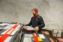 Man checking newly arrived seed samples at Svalbard Global Seed Vault, Svalbard, Norway, October 2012.