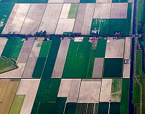 Aerial view of Patchwork landscape of field, The Netherlands, May 2012.