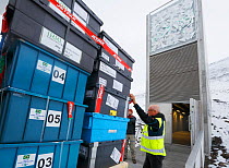 Delivery of new seed samples at Salbard Global Seed Vault, Svalbard, Norway, October 2012,