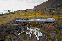 Remnants of primitive hut where Hjalmar Johansen and Fridtjof Nansen overwintered in Arctic Russia, during Fram Expedition, 1895-96, Franz Josef Land, Russia, July 2004.