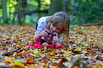 Young girl photographing a Fly Agaric (Amanita muscaria) in woodland in autumn, Norfolk, England, UK. Model released.