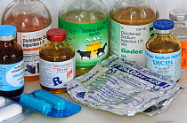 Anti-inflammatory (NSAID) drug Diclofenac used in veterinary medicine, shown here with some of its aliases, has been identified as the cause of the catastrophic decline in the population of wild vultu...