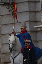 Horse guard mounted on young Andalusian (PRE) stallion in front of the Royal Palace, Madrid, Spain, January 2014.