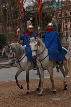 Horse guards mounted on young Andalusian (PRE) stallions in front of the Royal Palace, Madrid, Spain, January 2014.