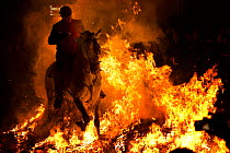 Man jumping through fire to purify his horse, during the Luminarias festival, held every January in San Bartolome de Pinares, vila Province, Castile and León, Spain, January 2014.