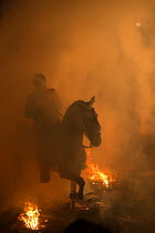 Man jumping through fire to purify his horse, during the Luminarias festival, held every January in San Bartolome de Pinares, Avila Province, Castile and Leon, Spain, January 2014.