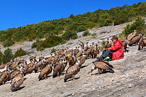 Manu Aguilera, from 'Fondo Amigos del Buitre' association giving talk to tourists after feeding Griffon vultures (Gyps fulvus) at Santa Cilia de Panzano feeding station, Sierra de Guara Natural Park,...