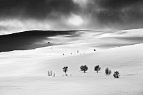 Black and white image of mountain landscape in winter, Sweden.