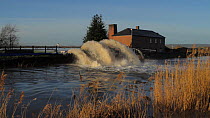 Flood water being pumped from Lower Salt Moor into the River Parrett near Burrowbridge, Somerset Levels, England, UK, January 2014.