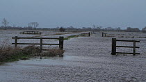 Flooded fields on Tadham Moor, near Wedmore, Somerset Levels, England, UK, January 2014.