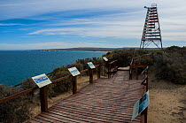 Whale watching platform at El Doradillo Nature Reserve, Puerto Madryn, Chubut, Patagonia, Argentina.