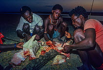 El Molo hunters butchering Nile crocodile (Crocodylus niloticus) Lake Turkana, Kenya.