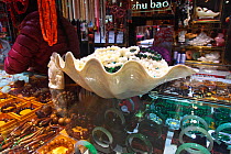 Giant clam (Tridacna gigas) shell for sale in market, Haikou City, Hainan province, China, Asia. January.