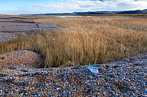 Tidal surge damage at Cley Beach and Nature Reserve, Norfolk, December 2013.
