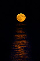 RF- Full moon rising over the north sea, Sherringham, Norfolk, England, UK, December. (This image may be licensed either as rights managed or royalty free.)