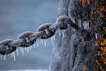 Ice covering old rusty chain & stone barrier, Lake Superior, Gooseberry Falls State Park, Minnesota, December.