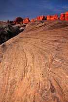 Dawn at Elephant Canyon, Needles Section, Canyonlands National Park, Utah, Colorado Plateau, April 2010.
