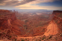 View from the curved edge of the plateau, Island in the Sky section, Canyonlands National Park, Utah, Colorado Plateau, April 2010.