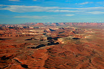 Lower canyon and flat plateaus, Green River Overlook, Island in the Sky section, Canyonlands National Park, Utah, Colorado Plateau, April 2010.