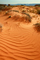 Patterns in orange sand with flat plateaus behind, Island in the Sky section, Canyonlands National Park, Utah, Colorado Plateau, April 2010.