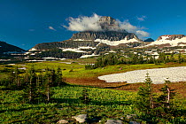 Clouds surrounding top of Mount Reynolds above a distant herd of bighorn sheep (Ovis canadensis) in alpine meadow. Logan Pass, Glacier National Park, Rocky Mountains, Montana, July 2010.