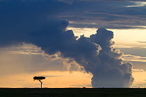 Big sky  landscape and clouds at sunset over Masai Mara Game Reserve, Kenya