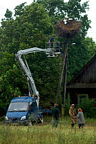 Cherry picker removing a White stork (Ciconia ciconia) nest with juveniles from electricity wires, Belarus, July 2007.