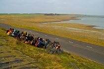 Group of young birdwatchers. Zeeland, The Netherlands, February 2008.