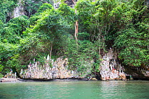 Cave of the Virgin Mary with statues of the Virgin Mary on ledges, Morocoy National Park, Gulf of Cuare, Chichiriviche, Caribbean Coast, Venezuela, February 2014.