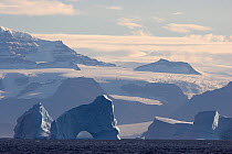 Icebergs floating by the heavily glaciated south coast of Scoresbysund Fiord, East Greenland.