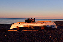 Chukchi girls sitting on an upturned whaling boat at sunset, Inchoun, Chukotka, Siberia, Russia.