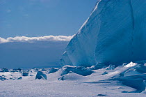 Ice cliff on the edge of the Riiser Larsen Ice shelf, Weddell Sea, Antarctica.