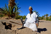 Egyptian cobra (Naja haje) hunter, with aggressive cobra, near Ouarzazare, Morocco.
