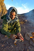 Local Berber man preparing Spiny-tailed lizard (Uromastyx nigriventris) to cook on fire, near Ouarzazate, Morocco, October 2013.