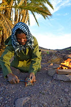 Local Berber man preparing Spiny-tailed lizard (Uromastyx nigriventris) to cook on fire, near Ouarzazate, Morocco, October 2013.