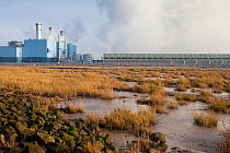 Coal-fired power station next to the Humber Estuary, Kingston upon Hull, East Yorkshire, England, UK, January.