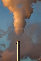 Chimneys at Saltend Chemical Plant, Kingston upon Hull, East Yorkshire, England, UK, January 2014.