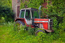Old Massey Ferguson 698T tractor outside farm building, Norfolk, UK, June 2014.