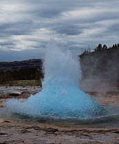 Strokkur Geyser just starting to erupt as the air bubble dome ruptures, Iceland, May 2014.