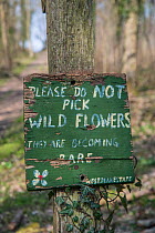 'Do Not Pick Wild Flowers' sign, Sussex, England, March 2014.