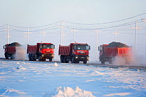 Trucks carrying sand for construction in the South Tambey Gas Field, Yamal Peninsula, Siberia, Russia. February 2014.